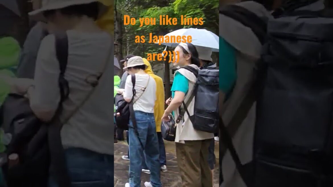 240 people standing in line for tacos in Sapporo!