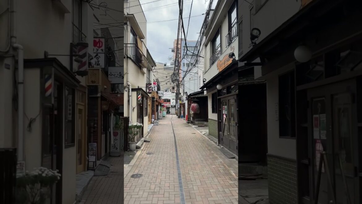 Street of Minato Shiba. #japan #travel #2023 #tokyo #trending #explore #thingstodo #street #shorts