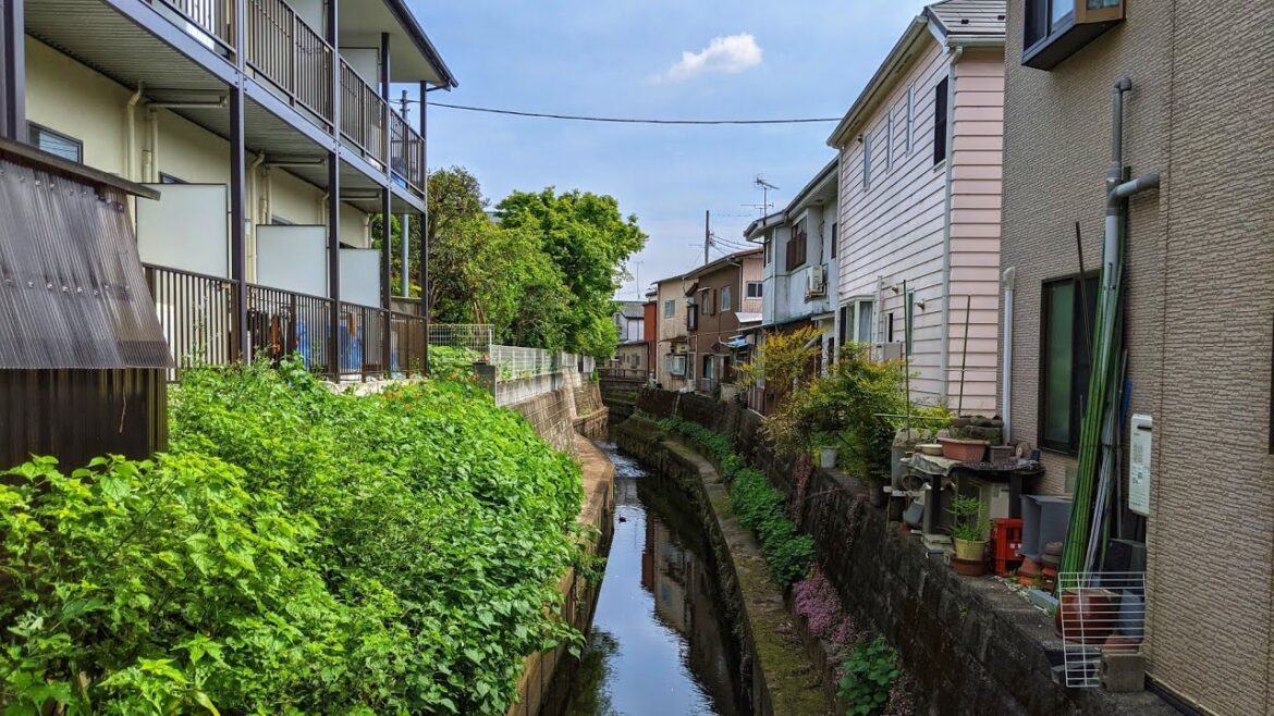 Live Tokyo Walk - Local Streets in Setagaya - Futako Tamagawa to Todoroki Ravine
