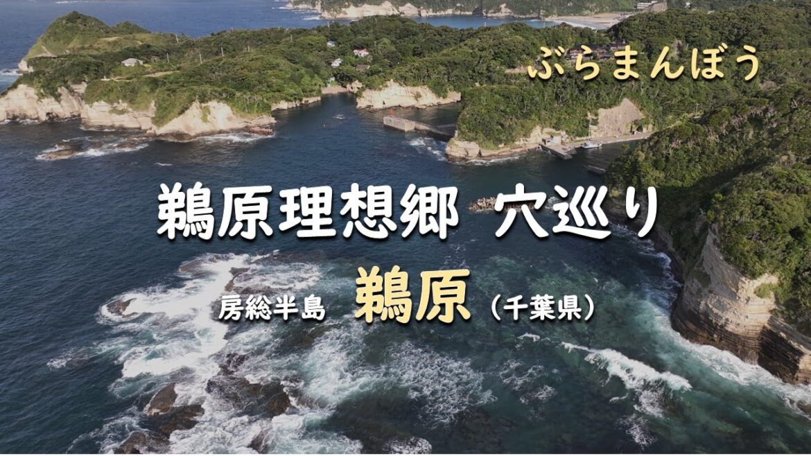 鵜原理想郷 穴巡り／ぶらまんぼう 房総半島 鵜原（千葉県）