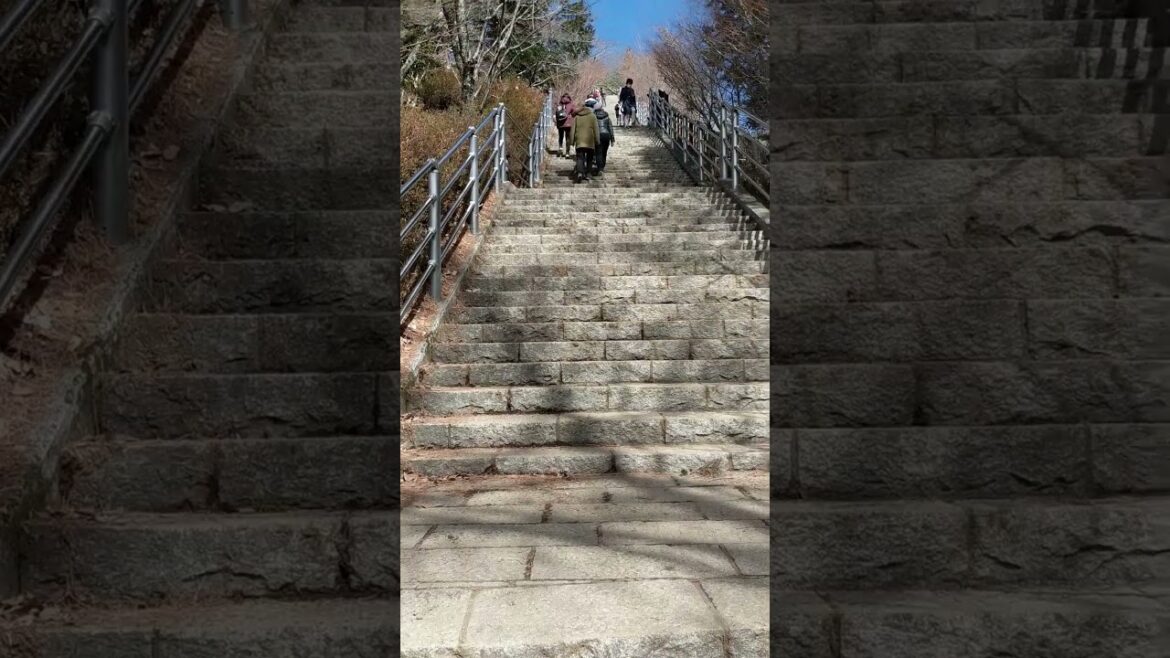 Visiting the famous Chureito Pagoda with incredible views of Mt. Fuj #shorts #japan #fuji #views