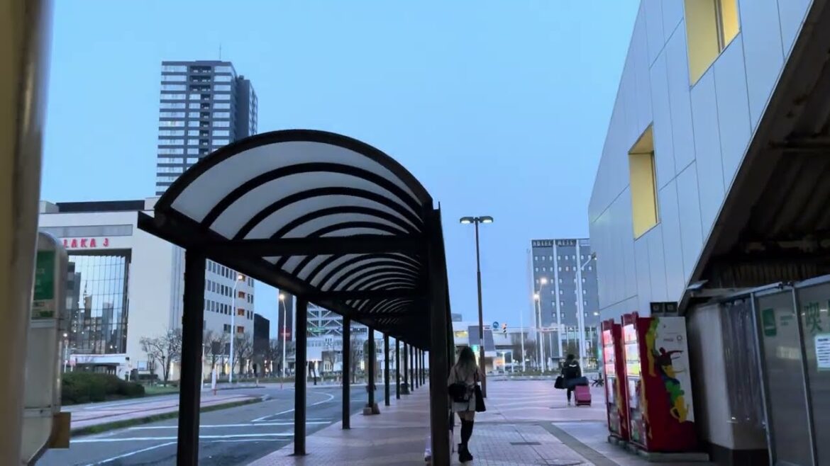 【Cheap Night Bus】Transferring from Tokyo to Niigata in comfort