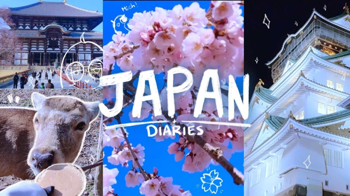 JAPAN DIARIES 🎌 ~ Japan in March, Sakura Tree Season, Dotonbori, Osaka Castle, Nara Park || Kaele
