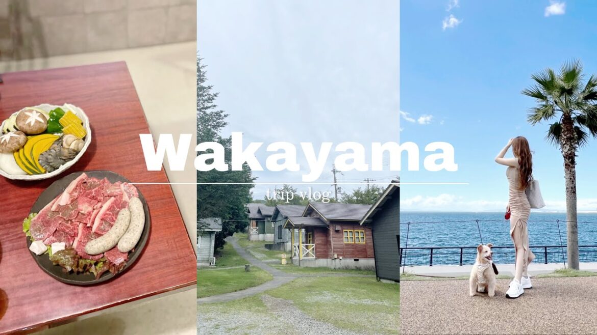 【 Wakayama 】弾丸和歌山旅🩵犬と泊まれるコテージへ🐶パートナーズハウスゆあさ / wakayama / vlog / bbq / dog run / dog spa / dog pool