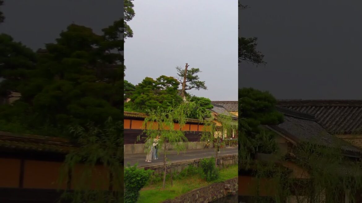 Kurashiki, The Historical Town in Japan #japan #japaneseculture #japantravel #kurashiki #okayama