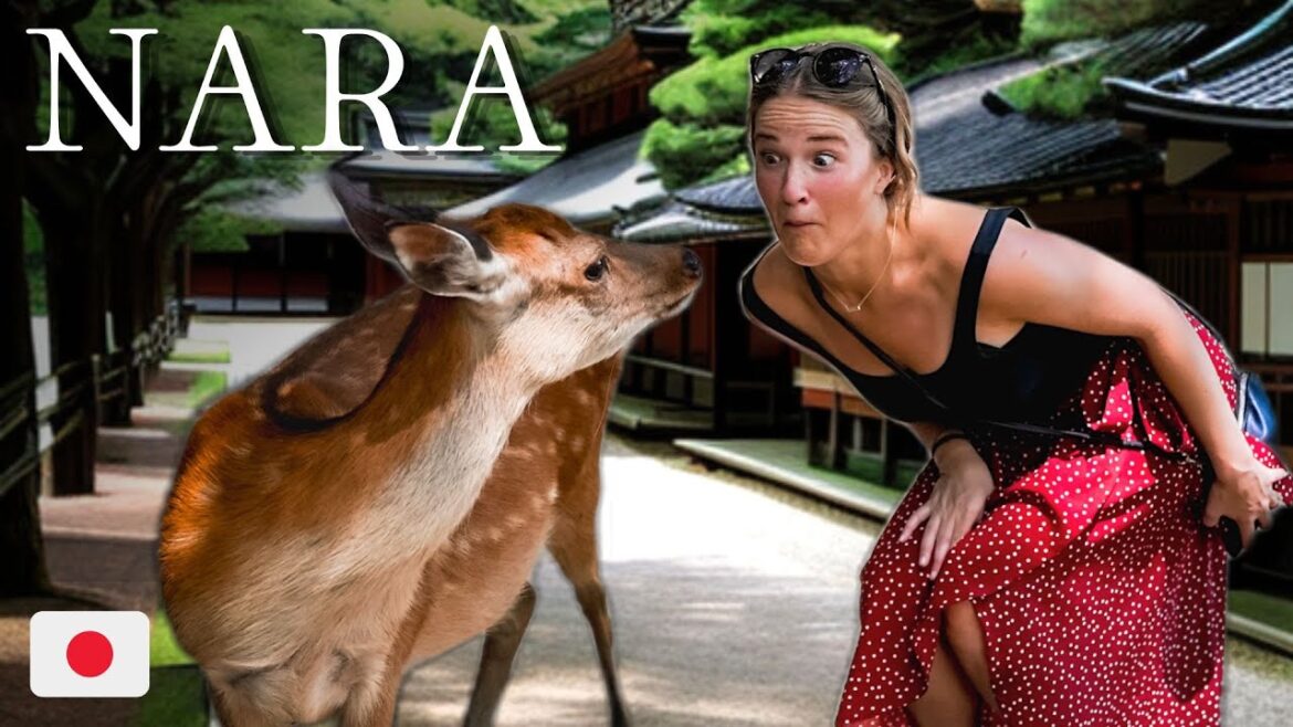 Nara, Japan is going VIRAL right now… Here’s why Nara, Japan is going VIRAL right now... Here's why