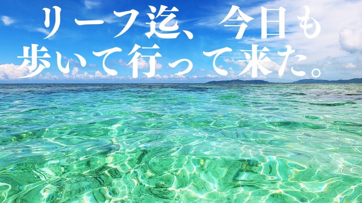 竹富島の北東リーフへ今日も歩いて行って来た。 第 395 話 竹富島の北東リーフへ今日も歩いて行って来た。 第 395 話