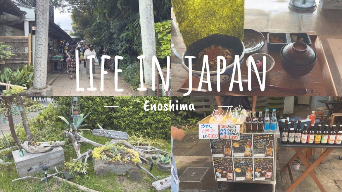 Life in Japan | Enoshima day trip | Tokyo Vlogs Life in Japan | Enoshima day trip | Tokyo Vlogs