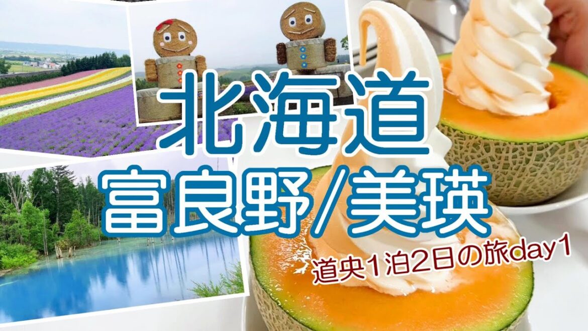 【北海道旅行vlog】富良野と美瑛の王道観光スポット＆グルメ♪ファーム富田｜ポプラファーム｜青い池｜四季彩の丘［道央1泊2日の旅］