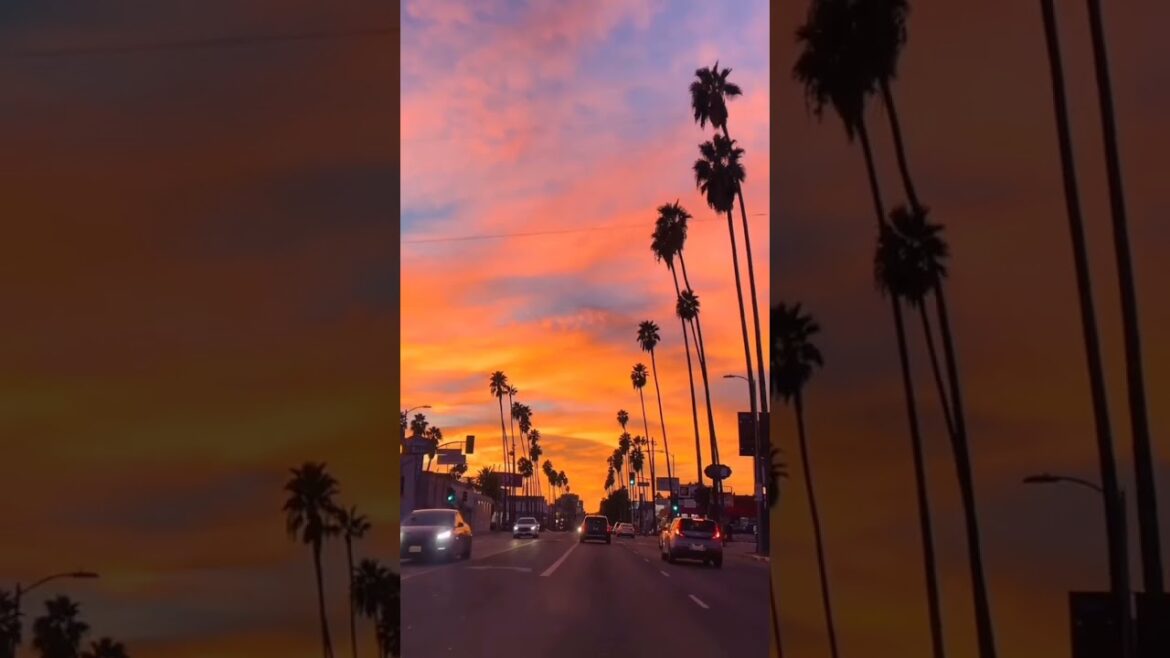 Los Angeles California #shorts #losangeles #shortvideo #viral