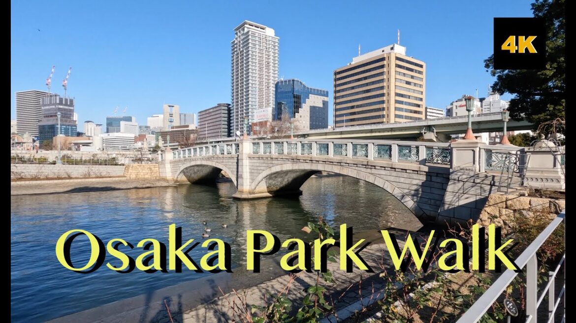 🇯🇵❄️Osaka Japan Park Winter Walk❄️🇯🇵 大阪 中之島公園 散歩 🇯🇵❄️Osaka Japan Park Winter Walk❄️🇯🇵 大阪 中之島公園 散歩