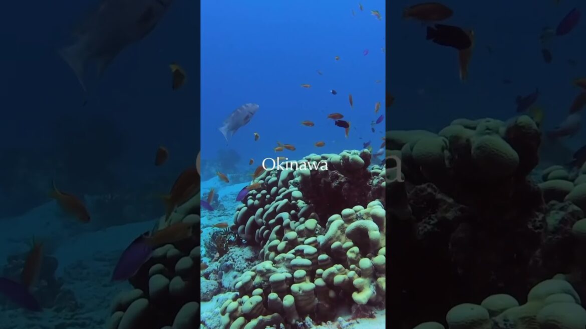 Top Travel Destinations Japan🇯🇵  Part 2 #shorts Top Travel Destinations Japan🇯🇵  Part 2 #shorts