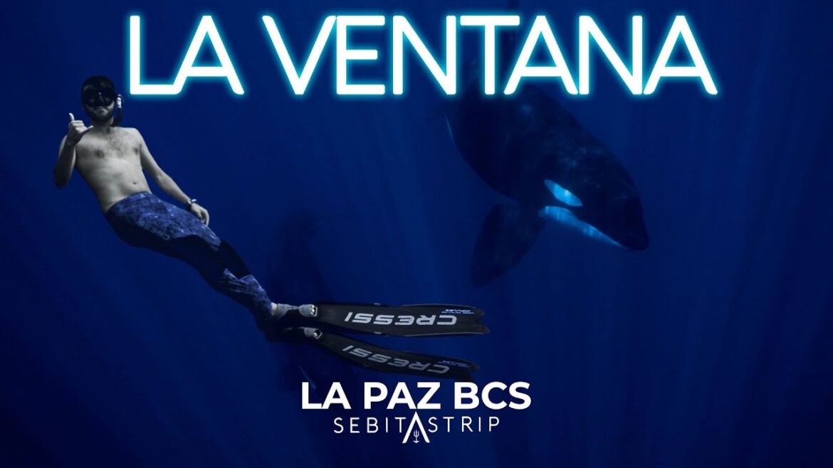 CONOCÍ LA VENTANA EN BAJA CALIFORNIA SUR | ZONA CON MUCHA VIDA MARINA Y PLAYAS  | OCEAN SAFARI VLOG