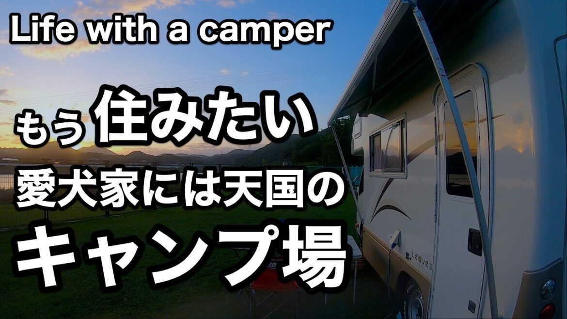 もうここに住みたい｜愛犬家には天国のキャンプ場｜関西なら超おすすめ｜野口オートキャンプ場｜和歌山県御坊市｜プライベートドッグランサイト