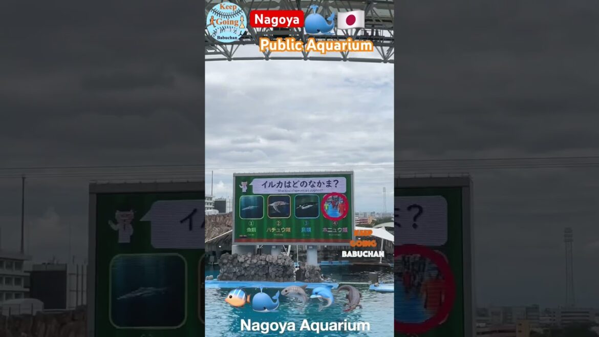 இது Aquariumயா இல்ல கிரிக்கெட் groundடா🇯🇵Port of Nagoya Public Aquarium|Japan Tour in Tamil