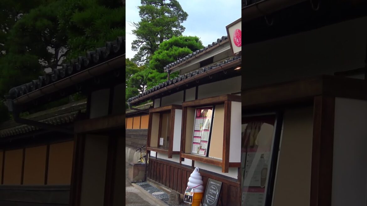 Kurashiki, The Most Traditional town in Japan #japan #japantravel #japaneseculture#kurashiki#okayama