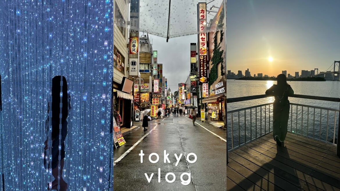 Japan Travel Vlog Two • 2D Cafe, Korean Town, Harajuku, teamLab Planets Tokyo, Odaiba Beach Japan Travel Vlog Two • 2D Cafe, Korean Town, Harajuku, teamLab Planets Tokyo, Odaiba Beach