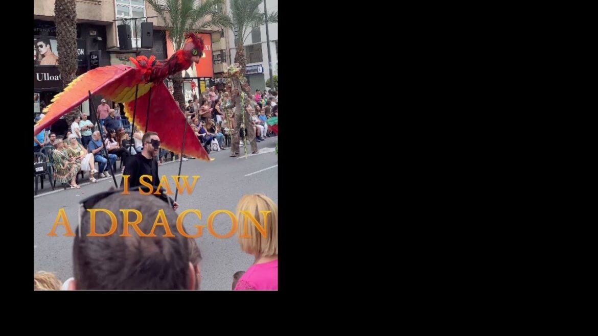 Alicante festival with Akita Inu Chiyoko