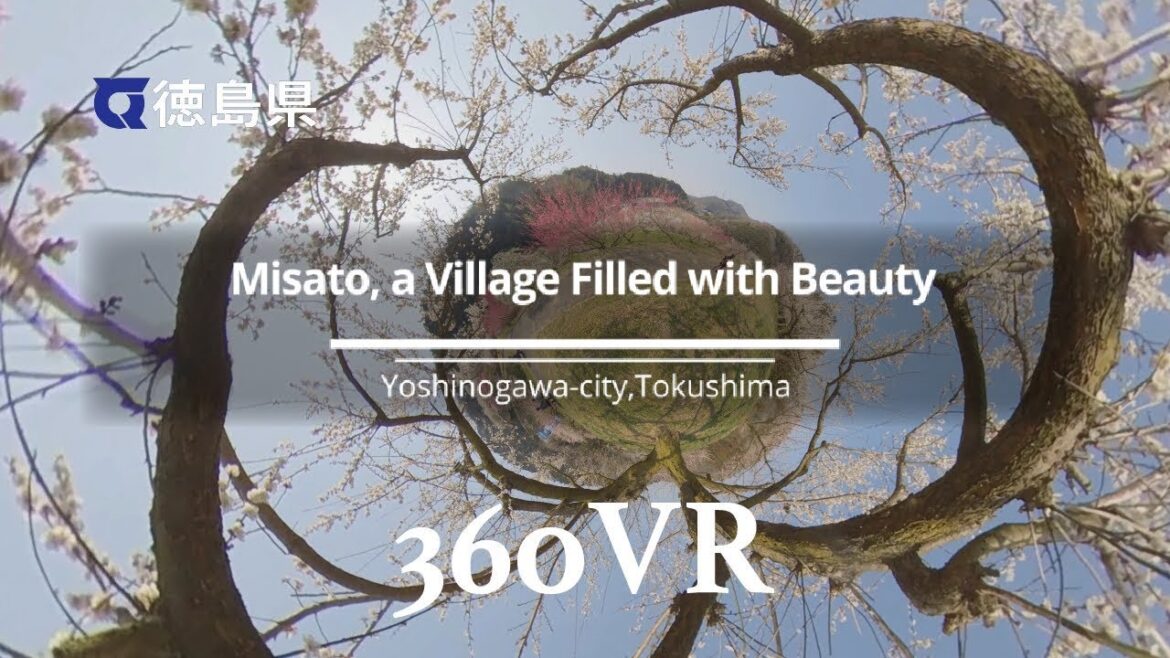 Misato, a Village Filled with Beauty【360VR】 ［Tokushima］