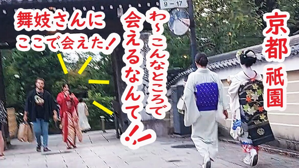 [2023/9/7]京都 祇園の舞妓さんにここで会えて外国人観光客も私も感激　夜の祇園は虫の音大合唱！花見小路 建仁寺