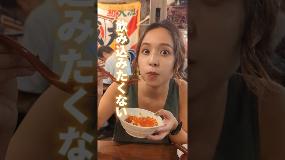 無限にいくらを盛り付けてくれる居酒屋がヤバすぎた。【札幌】 #夫婦 #夫婦旅 #車中泊 #同棲 #バンライフ #vanlife #日本一周 #猫 #北海道 #観光 無限にいくらを盛り付けてくれる居酒屋がヤバすぎた。【札幌】 #夫婦 #夫婦旅 #車中泊 #同棲 #バンライフ #vanlife #日本一周 #猫 #北海道 #観光