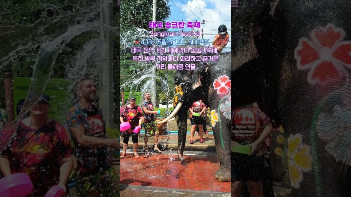 죽기 전에 꼭 체험해야 할 세계축제 TOP 10 죽기 전에 꼭 체험해야 할 세계축제 TOP 10