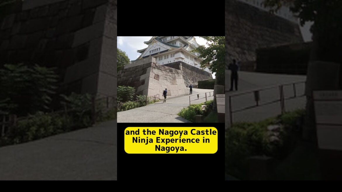 Japan's Ultimate Ninja Experience: Your Guide to Becoming a Ninja for a Day　#Short
