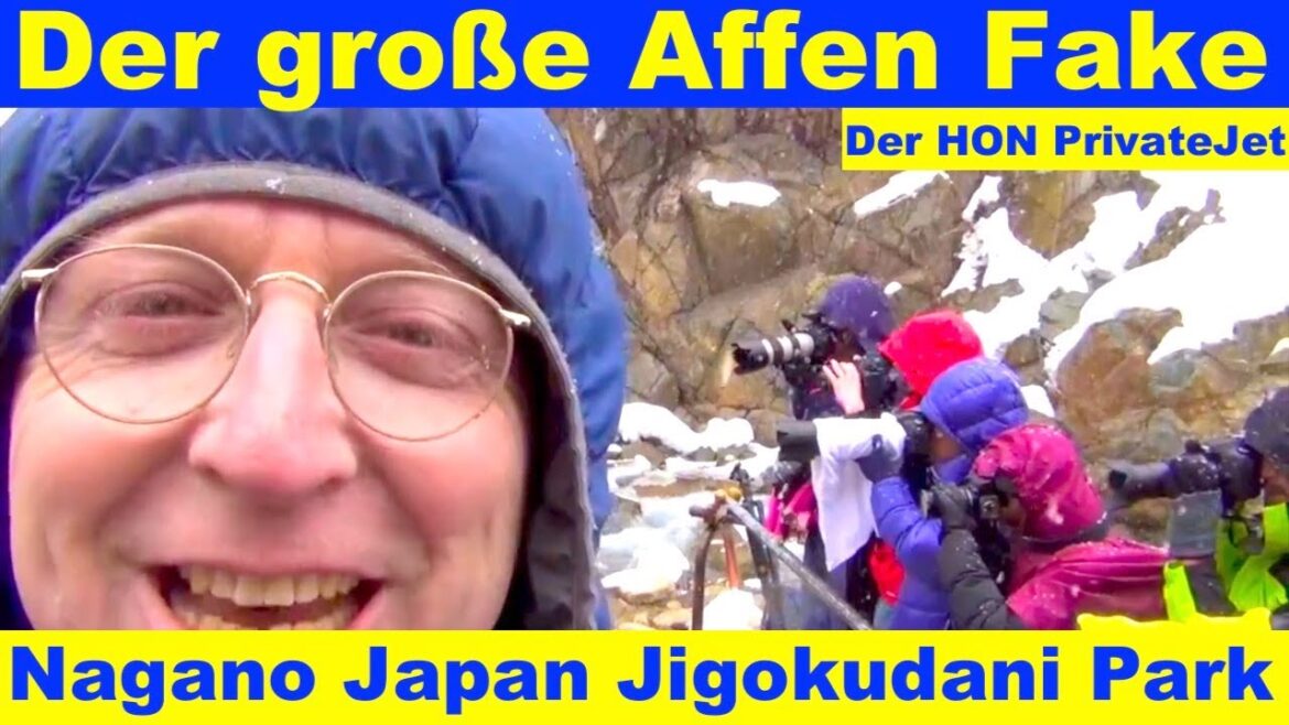 Snow Monkey Nagano Japan Schnee Affen Jigokudani Park | Der HON PrivateJet