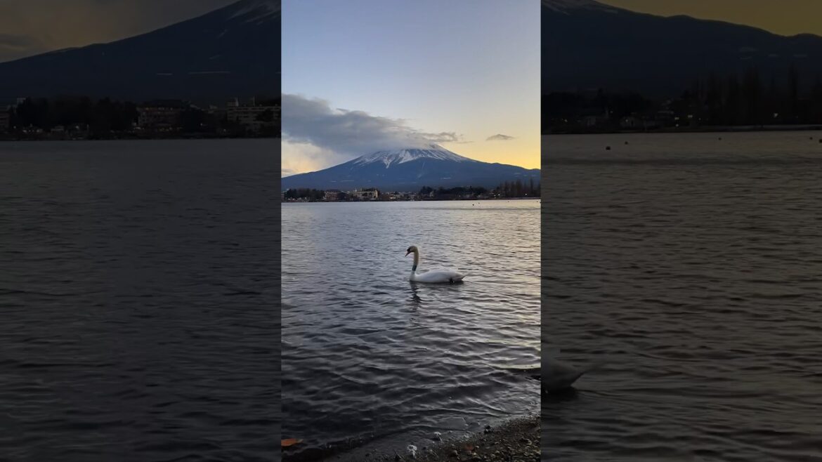 Relaxing with a view of Mt. Fuji🗻 #japantravel #japan #tokyodaytrip #travel #nature