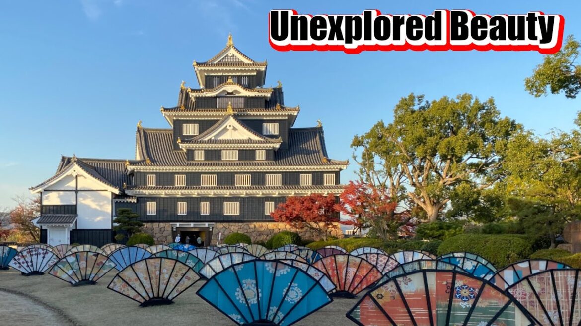 Enchanting Okayama: Visiting the Stunning Korakuen Gardens and Okayama Castle