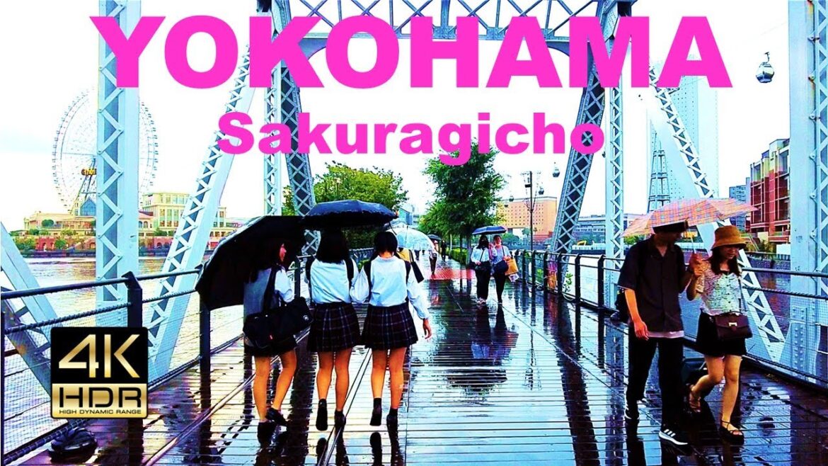 【4K HDR🇯🇵】Yokohama Walking Tour – Sakuragicho 【4K HDR🇯🇵】Yokohama Walking Tour - Sakuragicho