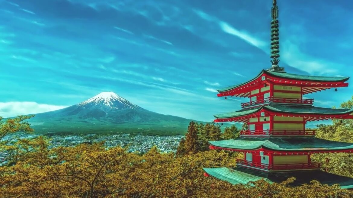Exploring Japan's rich history beyond the pages.