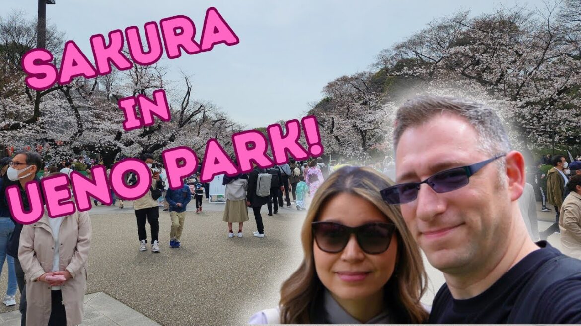 Tokyo Day 9: Cherry Blossoms in Ueno Park! Japan Travel Vlog