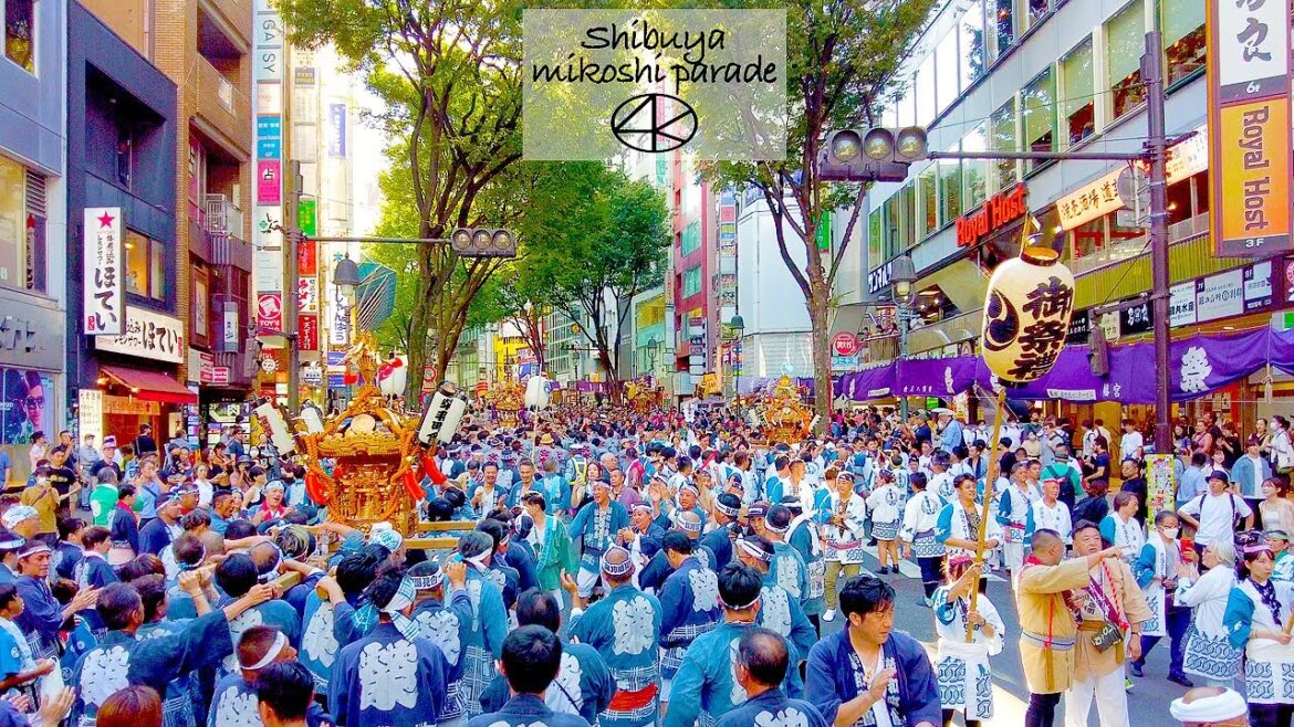 4K【渋谷の神輿パレード】道玄坂神輿天国!金王八幡宮 2023 東京 Japan 4K【渋谷の神輿パレード】道玄坂神輿天国!金王八幡宮 2023 東京 Japan