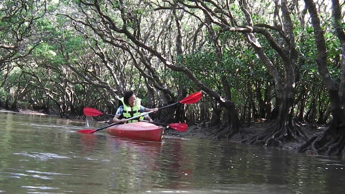 奄美大島の大自然を満喫！リラックス＆リフレッシュの旅！