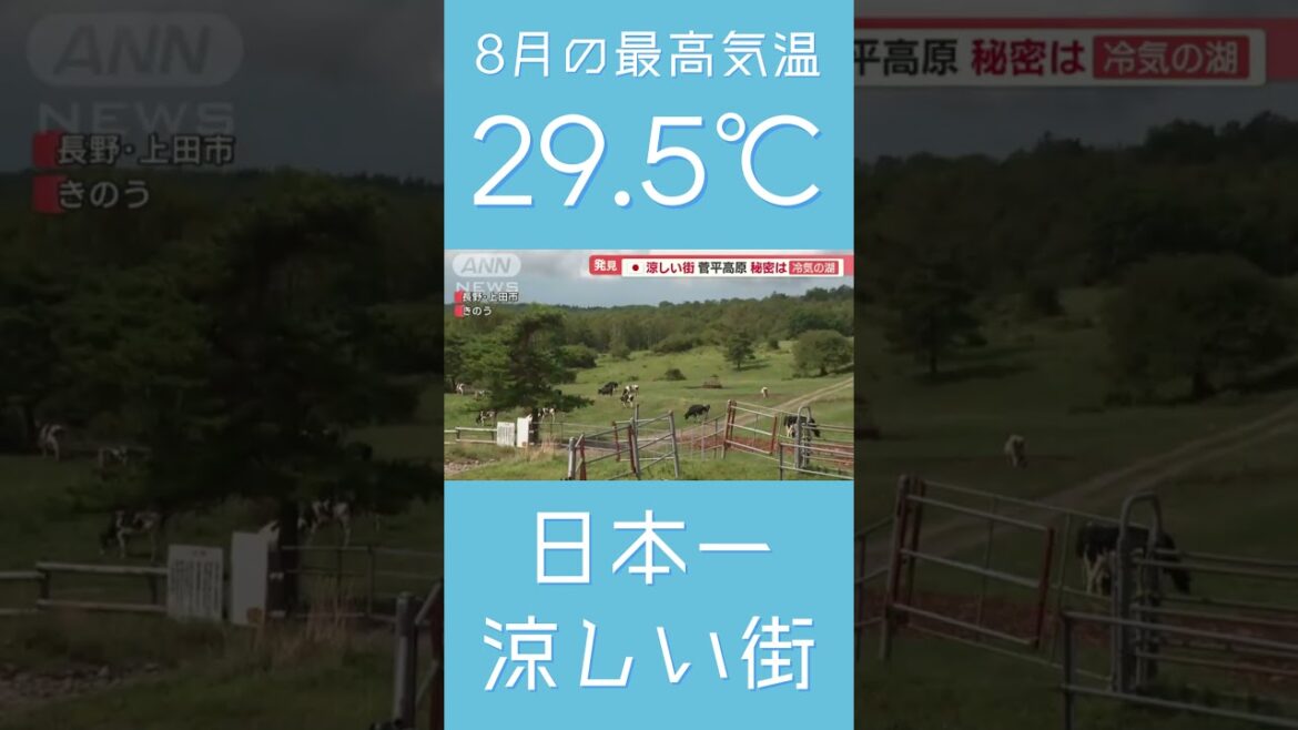 8月の最高気温29 5℃～日本一涼しい菅平高原～