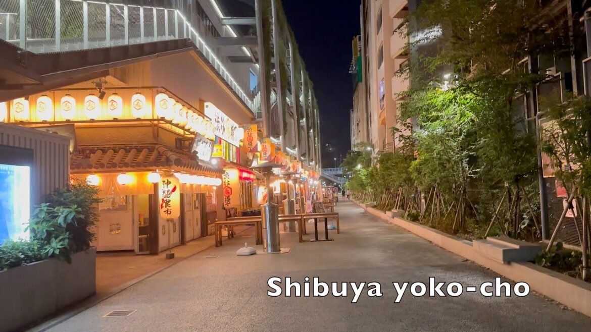 Late night walk in Tokyo. From Shibuya to Ebisu. 1 of 4  4K