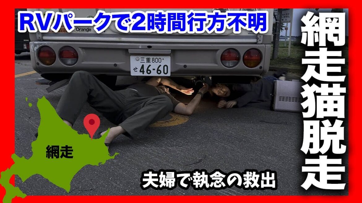 網走監獄を楽しんだあと愛猫がキャンピングカーから脱走!ウソのような本当の話!そして執念の救出!北海道2023その9 網走監獄を楽しんだあと愛猫がキャンピングカーから脱走!ウソのような本当の話!そして執念の救出!北海道2023その9