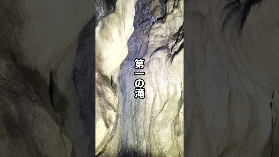 平尾台の千仏鍾乳洞 地獄トンネルをくぐってみた #shorts 平尾台の千仏鍾乳洞 地獄トンネルをくぐってみた #shorts