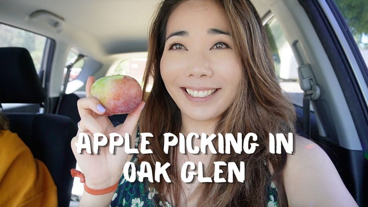 HOW TO SPEND A DAY IN OAK GLEN 🍎 | Fall in LA Vlog