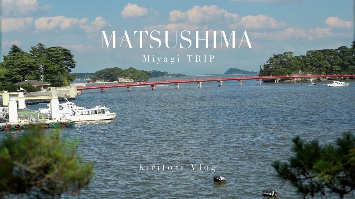 日本三景松島を巡る日帰り旅 | 食べ歩きと開運旅行⛩ | 塩釜でマイ海鮮丼作り🐟 | 松島でふわふわのカステラと出会う | 松島・塩釜観光【VLOG】