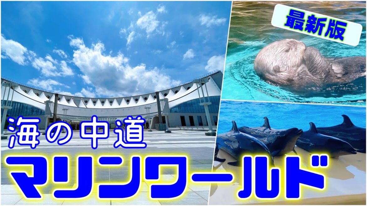 【観光】夏休みにおススメ！マリンワールド海の中道のご紹介です！Introducing Marine World Umi no Nakamichi