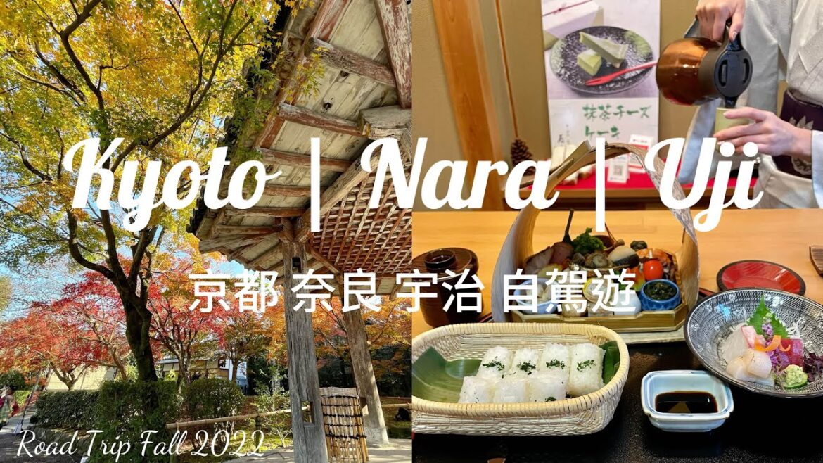 京都奈良宇治 Day 4-6 | 親子自駕遊紅葉2022 ｜ 6 Days Road Trip in Kyoto Nara Uji Autumn 2022 🍁🦌