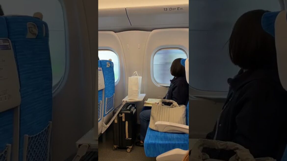 Japan Bullet Train from Tokyo to Osaka - Mt Fuji Views #mtfuji #bullettrain #shinkansen #japan #fuji