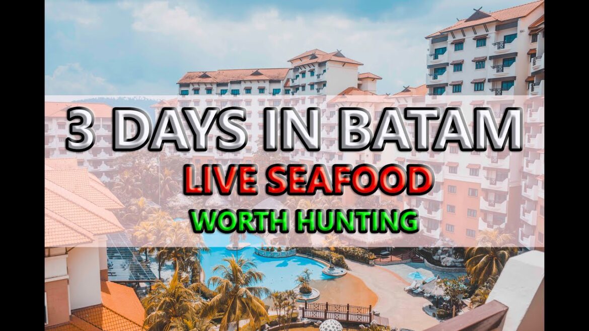 SINGAPORE TO BATAM, INDONESIA 2019 | THINGS TO DO FOR 3 DAYS WITH FAMILY - PART 2