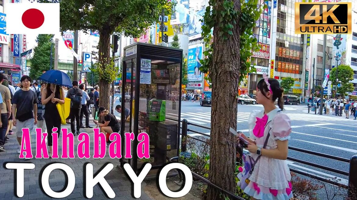 Akihabara Tokyo's Electric Wonderland" 🇯🇵🎮🌆 - walking as is Part 1