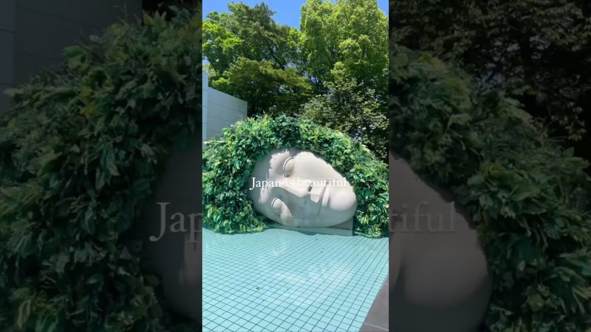 Isn't It ❤️ | Torii Whispers #japantravel #japanvlog #japan #japantrip #japanlife #japanese #kyoto