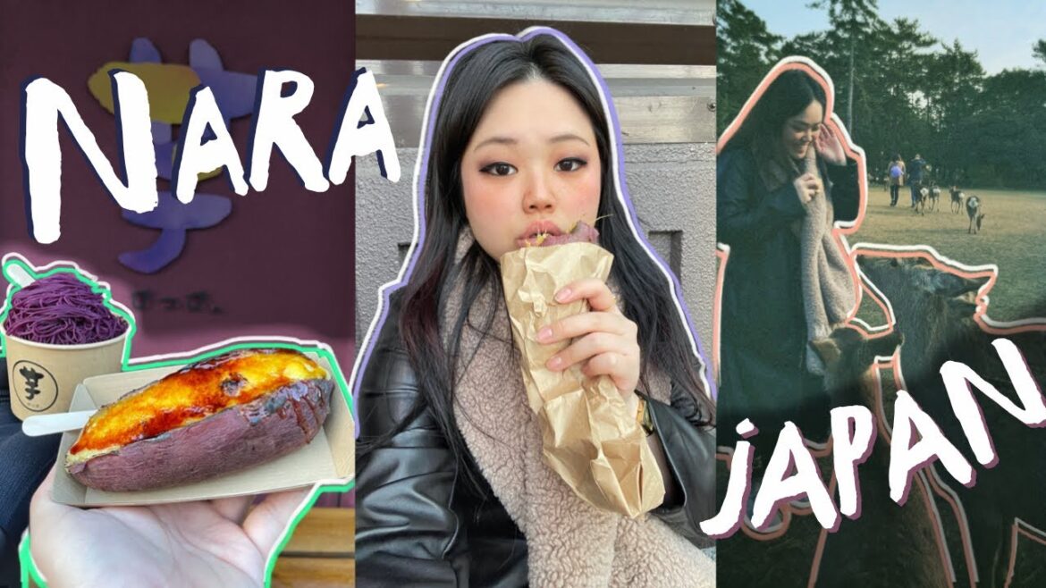 Japan Vlog 🇯🇵 | Exploring Nara, Japan’s Oldest Capital: Befriending deers, and eating treats Japan Vlog 🇯🇵 | Exploring Nara, Japan's Oldest Capital: Befriending deers, and eating treats
