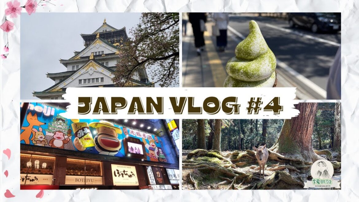 2023 Japan foodie Vlog - Osaka + Nara (Osaka castle, Yakiniku, Deer feeding🦌)