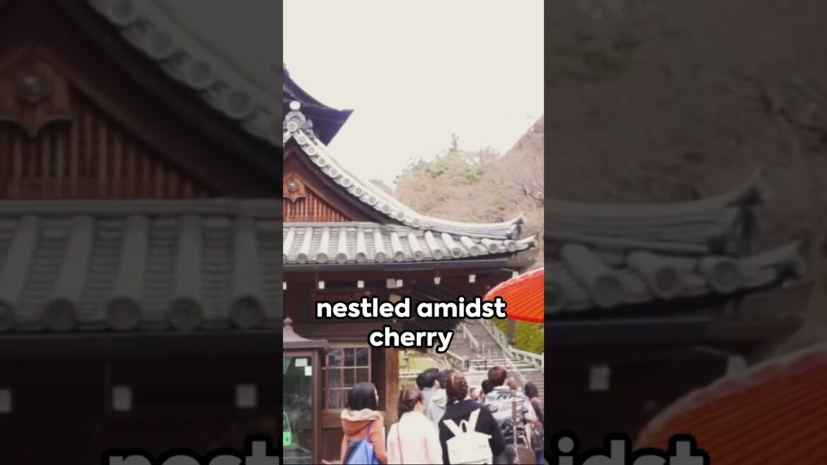 Kyoto Unveiled Top 5 Must See Spots in short #japan #traveltips #holiday #kyoto Kyoto Unveiled Top 5 Must See Spots in short #japan #traveltips #holiday #kyoto